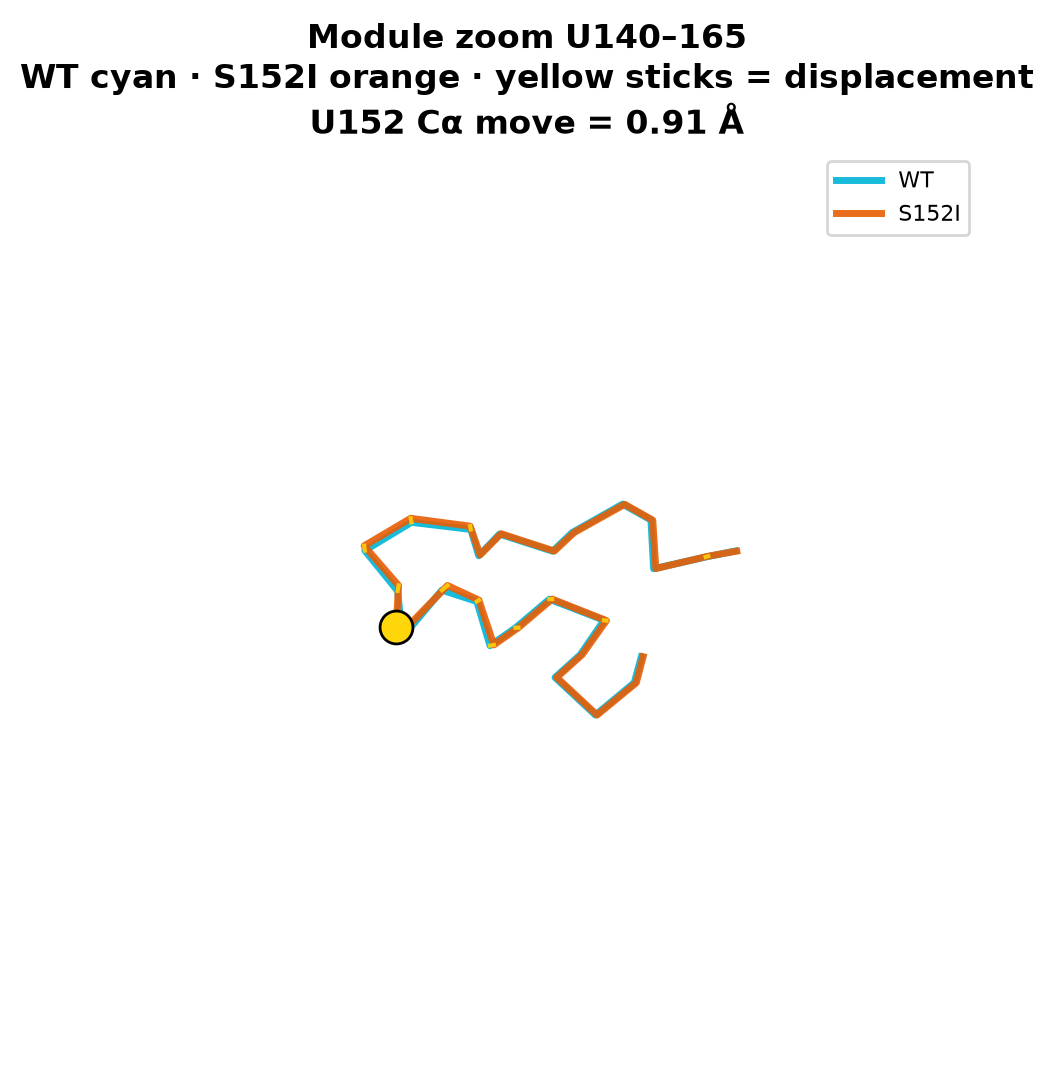 module zoom